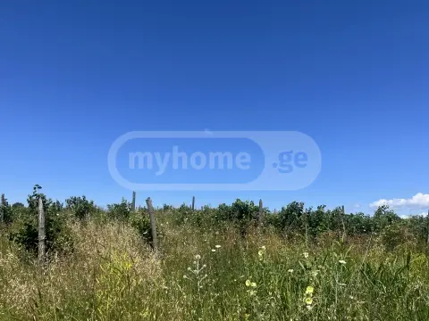 Продажа Земля / участок в Sagarejos Munitsipalitetshi view 2