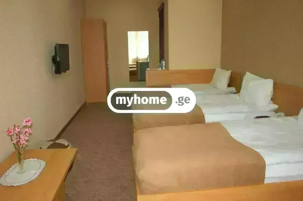 For Rent 10+ Room Sastumro In Didi Dighomi, 4 of 9
