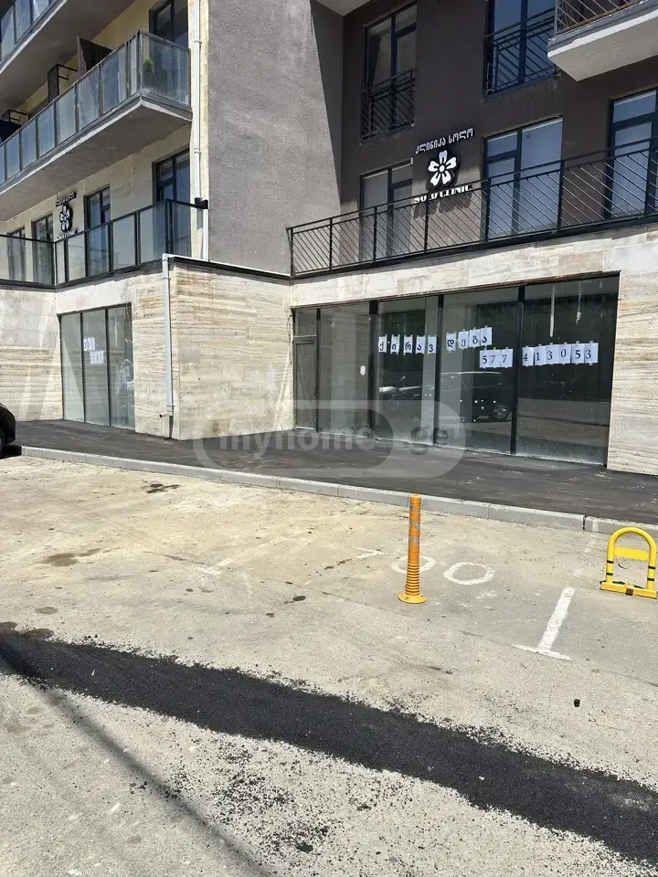 For Rent Savachro Commercial Space Tsqnetshi view 6