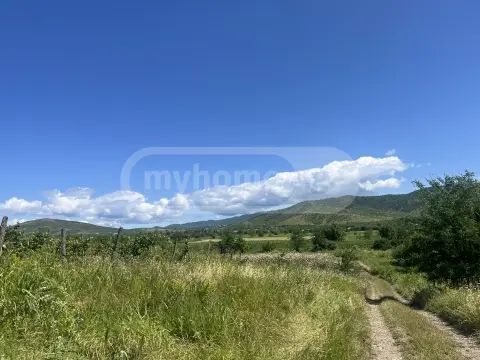 Продажа Земля / участок в Sagarejos Munitsipalitetshi view 3