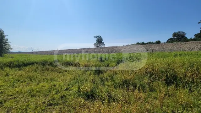 For Sale Sasoplo-Sameurneo Land Plot Ozurgetis Munitsipalitetshi view 2