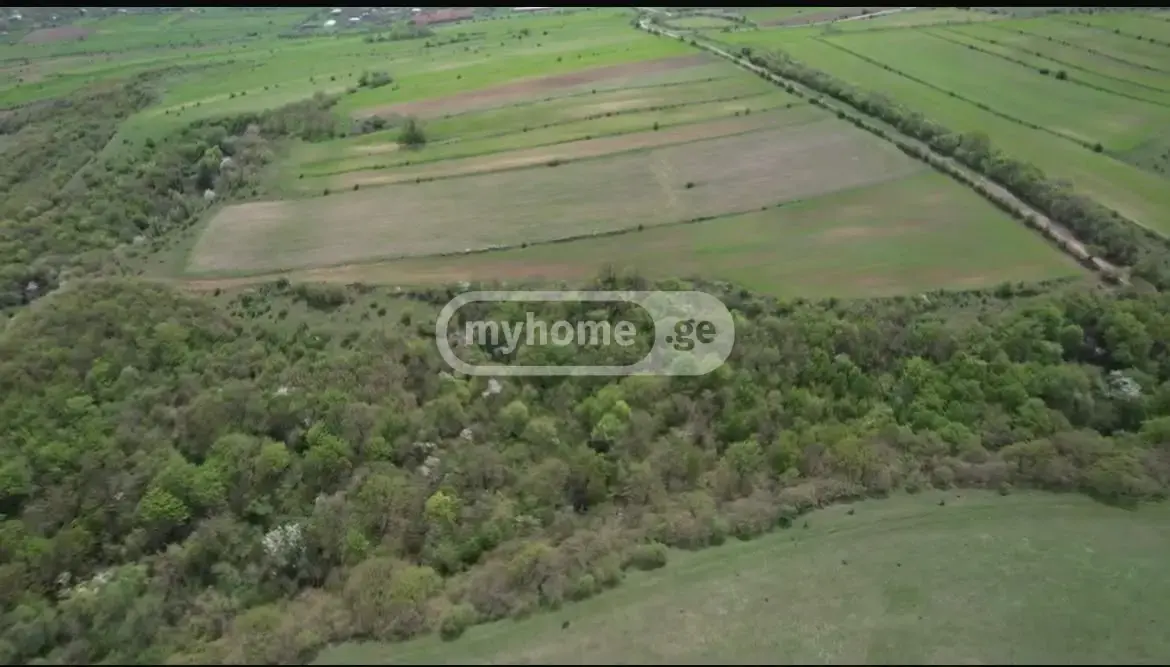 For Sale Sasoplo-Sameurneo Land Plot Dushetshi view 4
