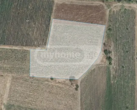 Продажа Земля / участок в Sagarejos Munitsipalitetshi view 6