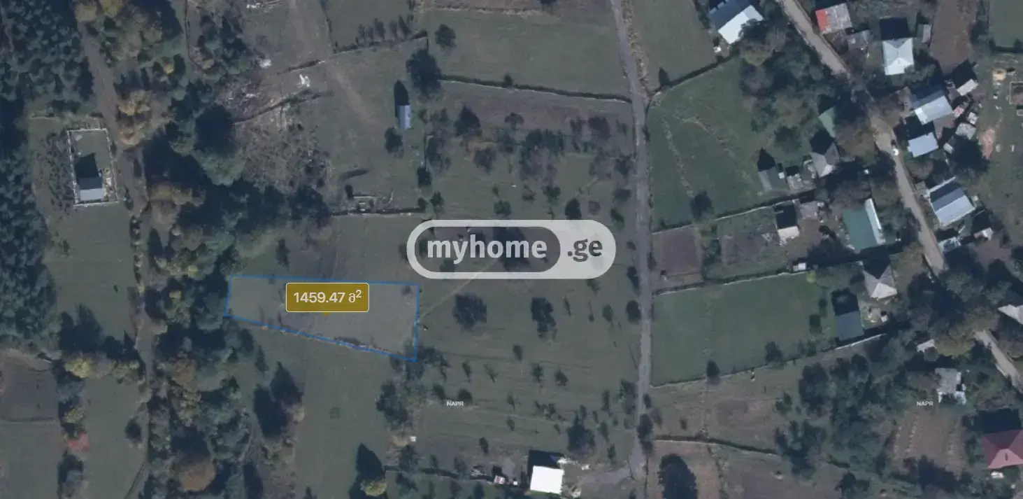 For Sale Sasoplo-Sameurneo Land Plot Borjomshi view 1