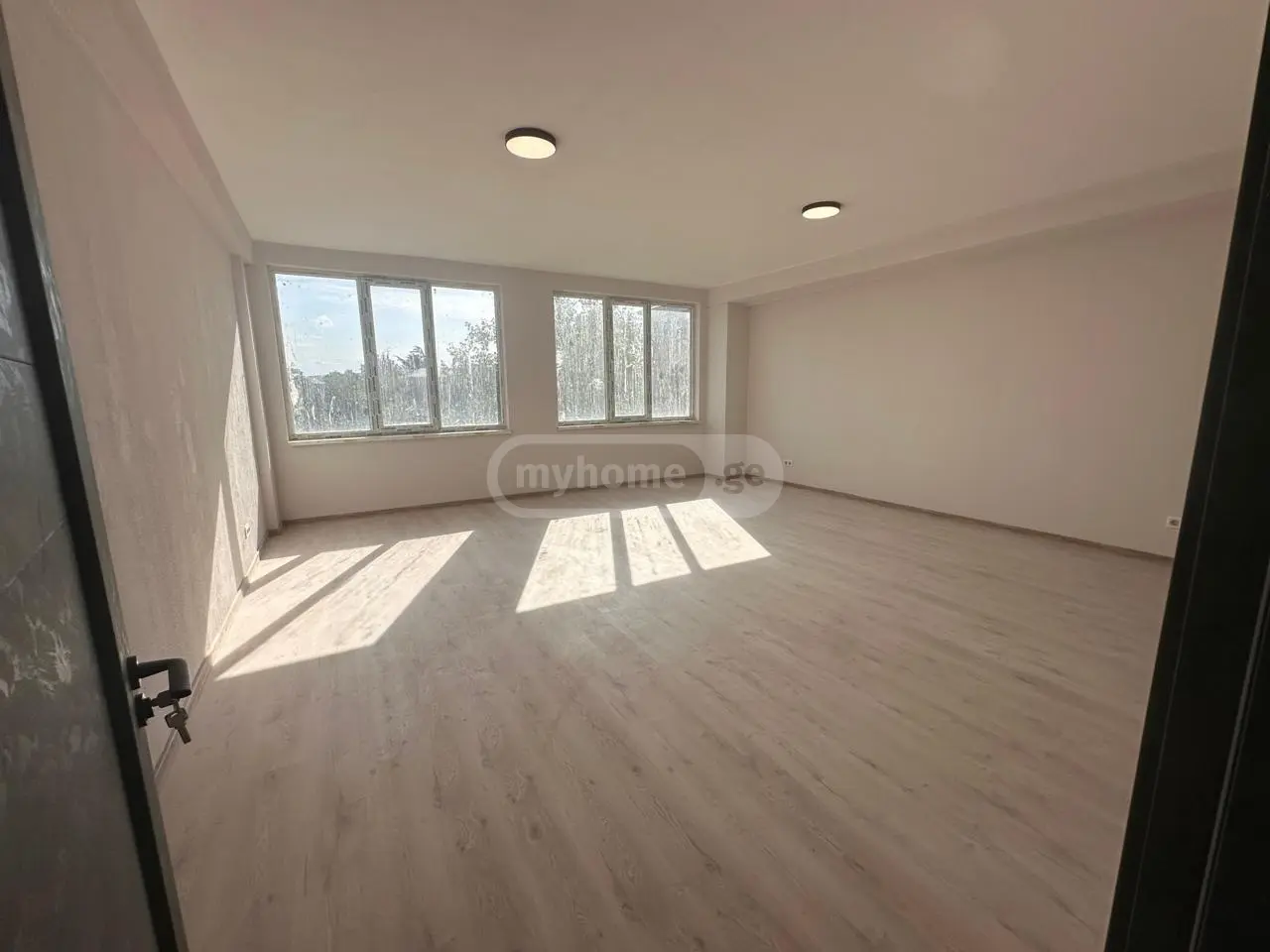 For Rent Satsarmoo Commercial Space Rustavshi, 3 of 10