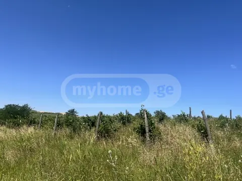 Продажа Земля / участок в Sagarejos Munitsipalitetshi view 4