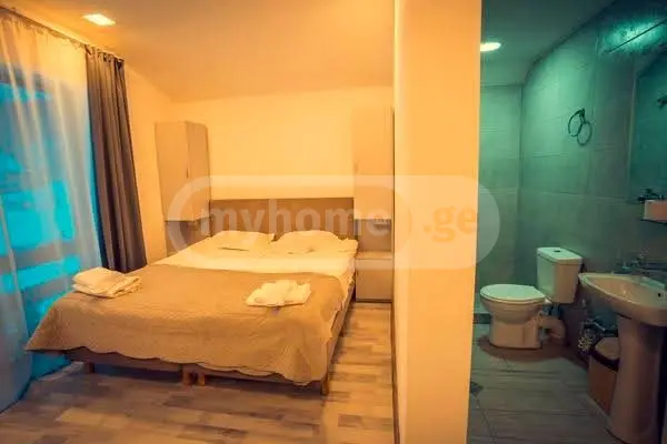 Daily Rent 4 Room Private House Bakurianshi, 8 of 9