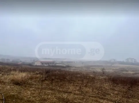 For Sale Sasoplo-Sameurneo Land Plot Telavis Munitsipalitetshi view 1