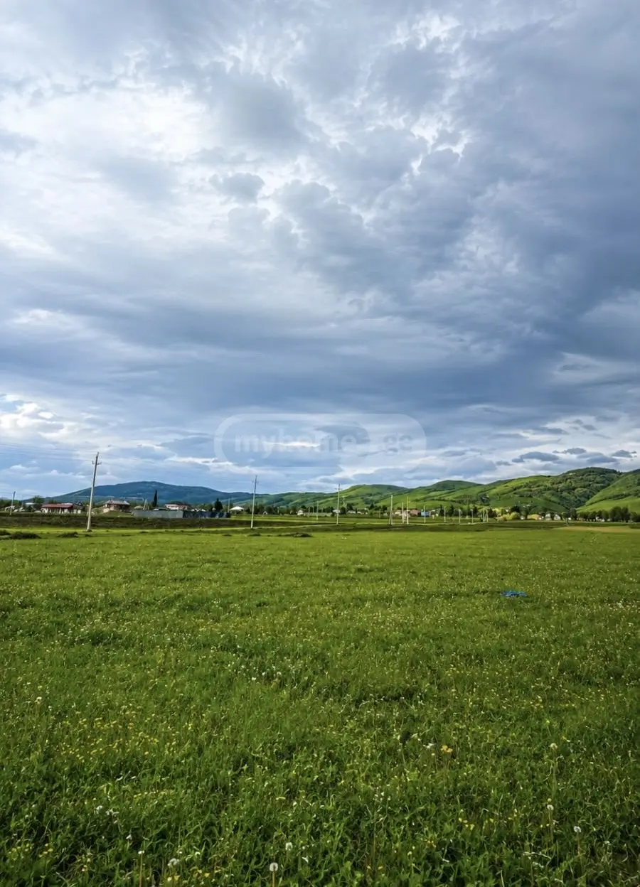 For Sale Sasoplo-Sameurneo Land Plot Gardabnis Munitsipalitetshi view 1