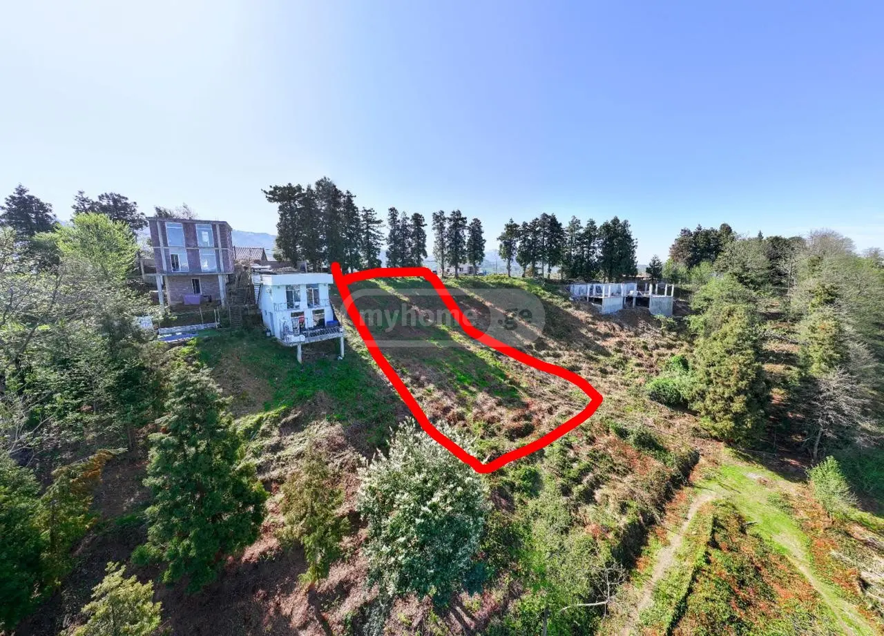 For Sale Ara Sasoplo-Sameurneo Land Plot In Batumi view 11
