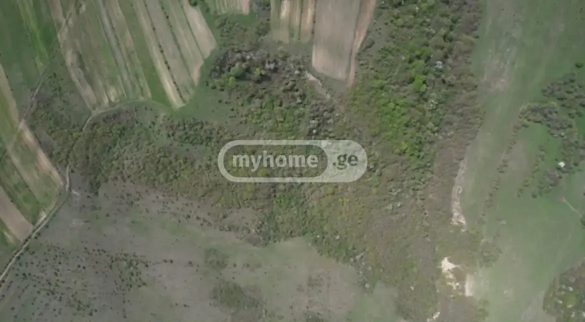 For Sale Sasoplo-Sameurneo Land Plot Dushetshi view 2