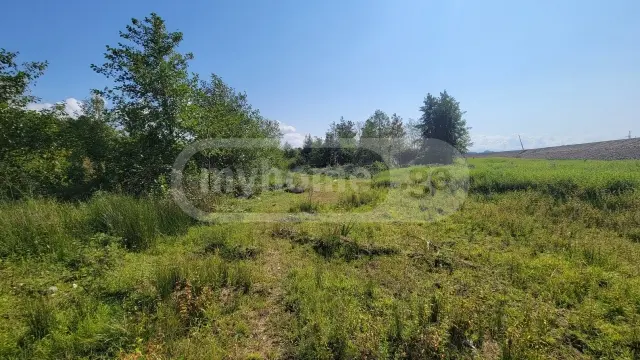 For Sale Sasoplo-Sameurneo Land Plot Ozurgetis Munitsipalitetshi view 1