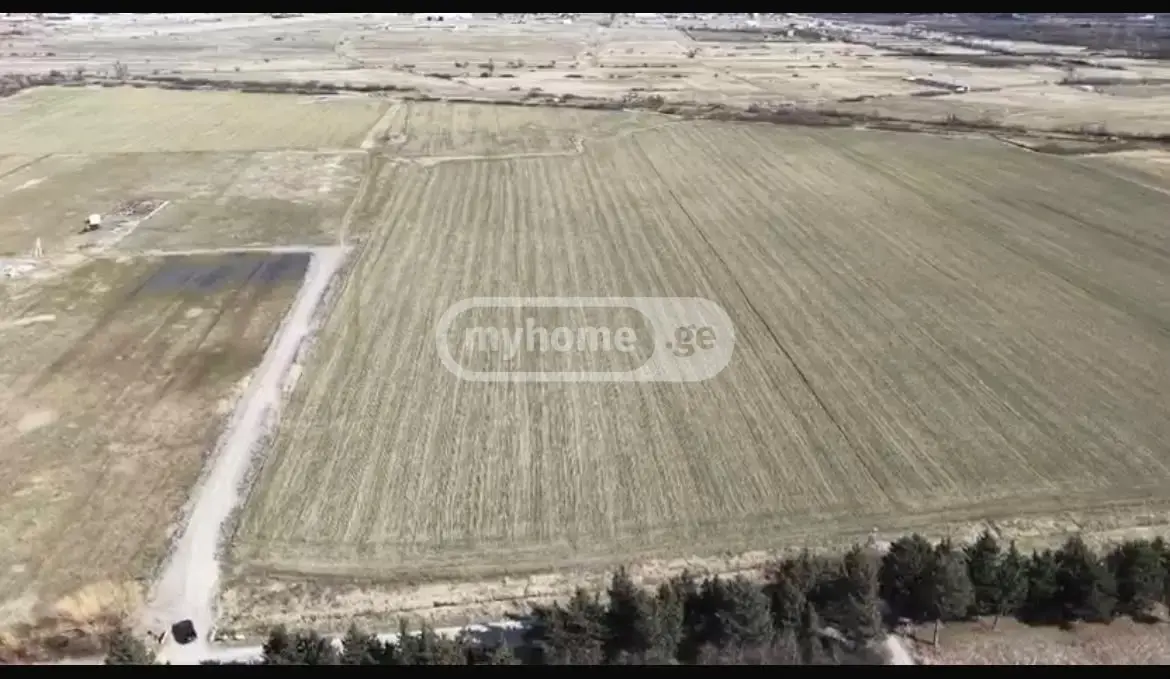 For Sale Sasoplo-Sameurneo Land Plot Mtskhetis Munitsipalitetshi view 4