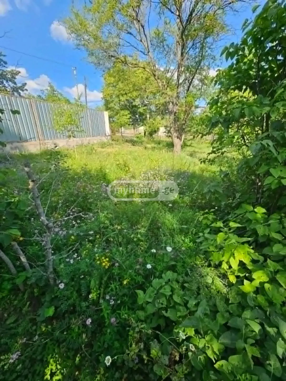 For Sale 5 Room Country House Kiketshi, 8 of 10