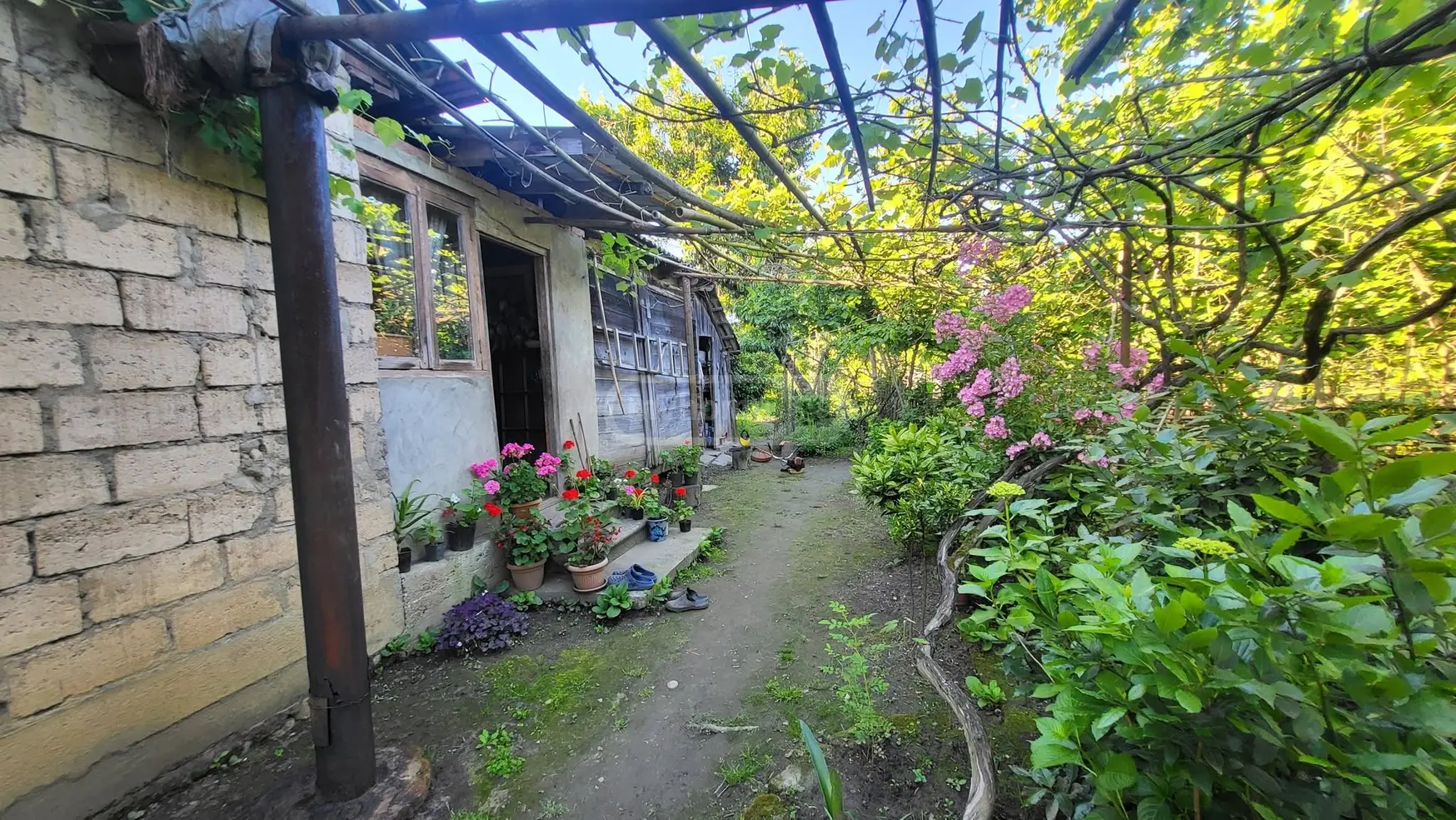 Продажа 3-комната Частный дом в Zugdidis Munitsipalitetshi view 2
