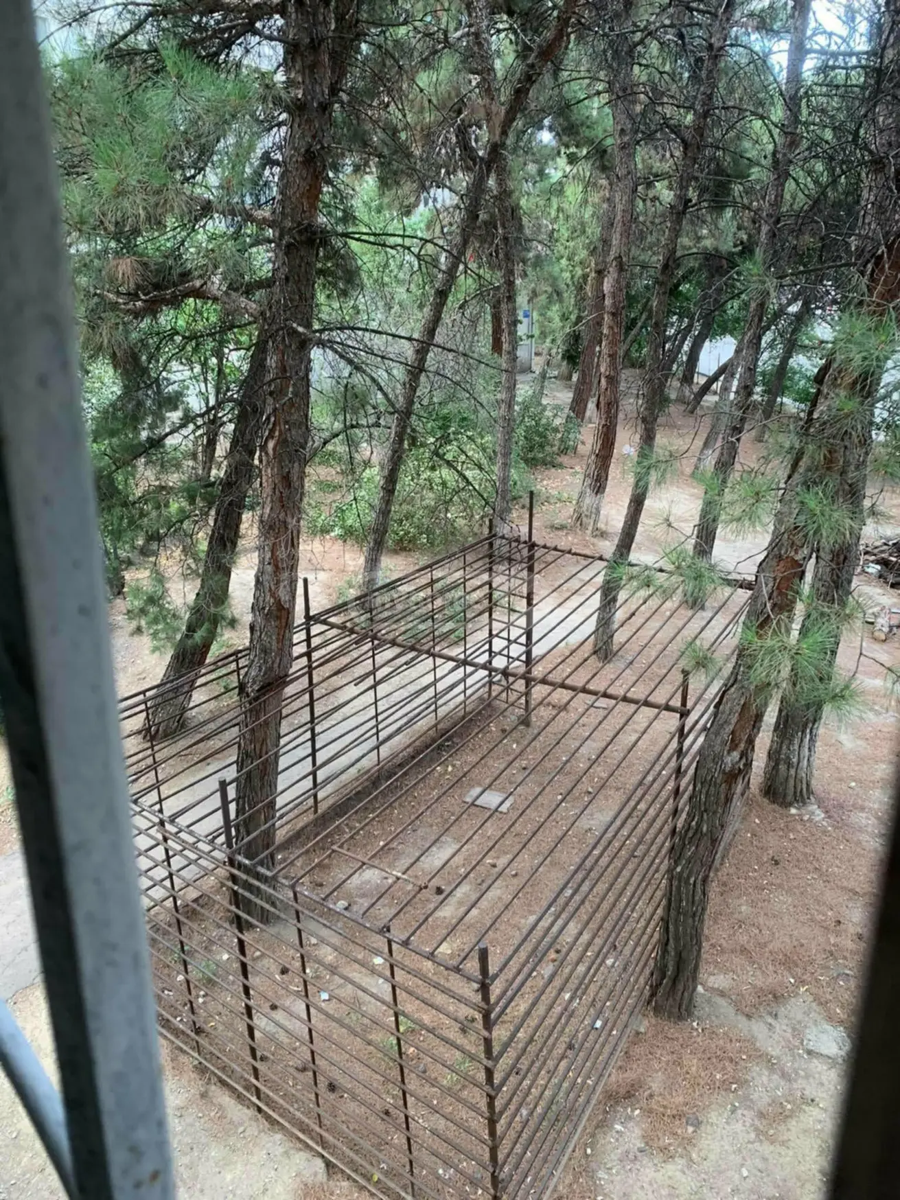 For Sale 3 Room Apartment Varketilshi, 5 of 9