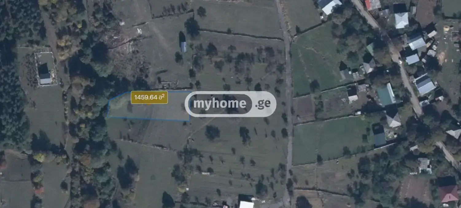For Sale Sasoplo-Sameurneo Land Plot Borjomshi view 2