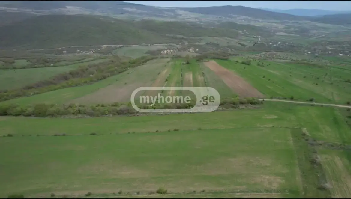 For Sale Sasoplo-Sameurneo Land Plot Dushetshi view 5