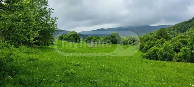 For Sale Sasoplo-Sameurneo Land Plot Dushetshi view 1