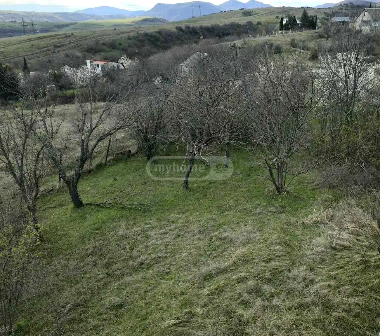 For Sale Sasoplo-Sameurneo Land Plot Gardabnis Munitsipalitetshi view 4
