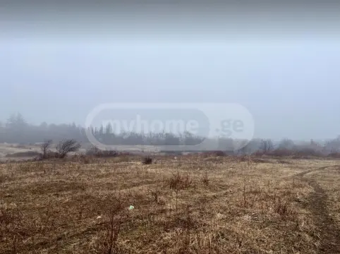 For Sale Sasoplo-Sameurneo Land Plot Telavis Munitsipalitetshi view 3