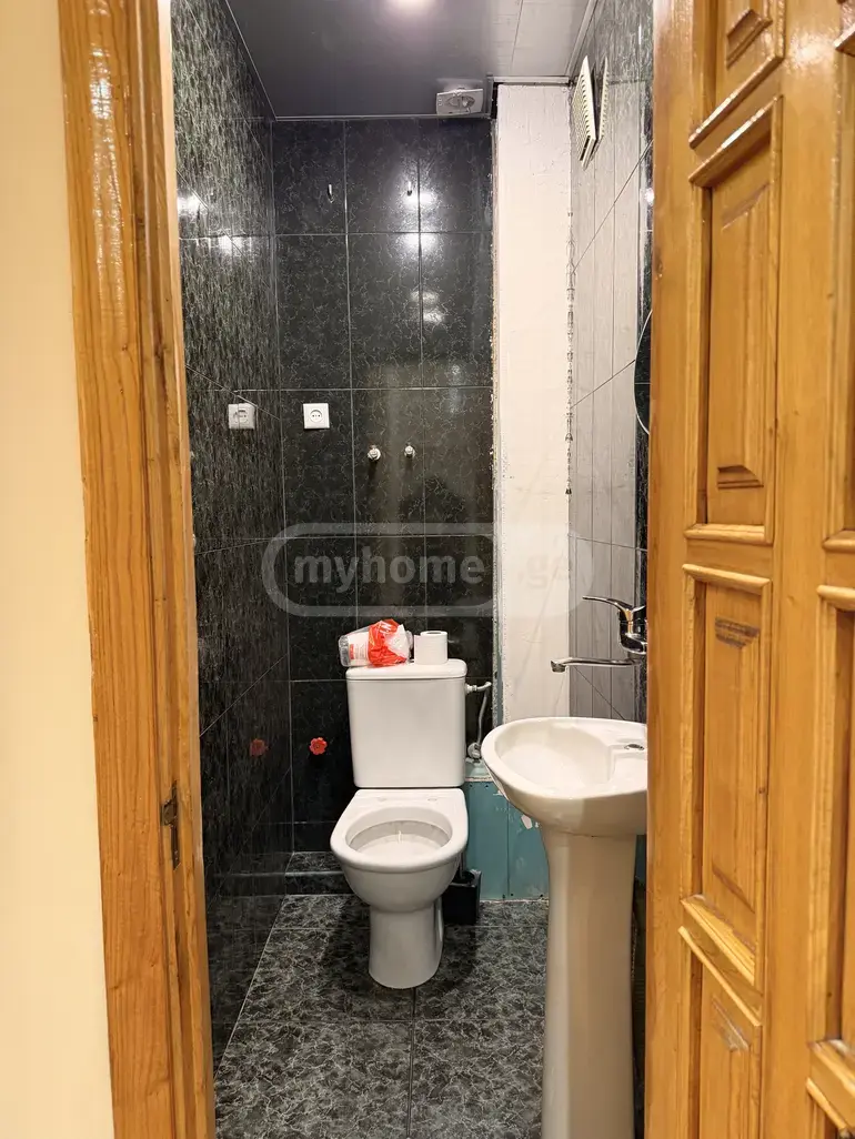 For Rent Saopise Commercial Space Shindisshi view 12
