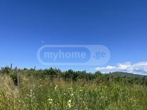 Продажа Земля / участок в Sagarejos Munitsipalitetshi view 5