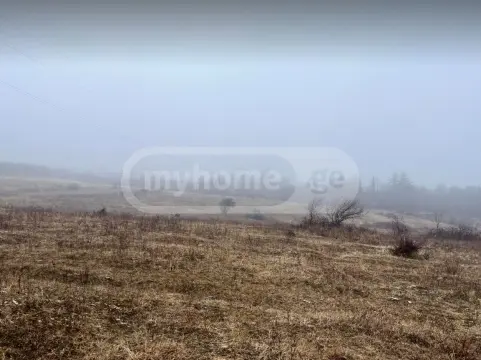 For Sale Sasoplo-Sameurneo Land Plot Telavis Munitsipalitetshi view 2