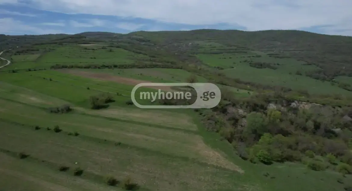 For Sale Sasoplo-Sameurneo Land Plot Mtskhetis Munitsipalitetshi view 1