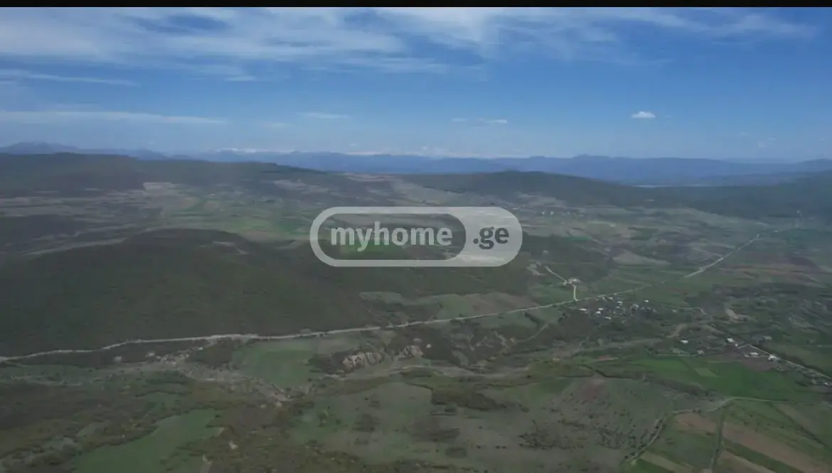 For Sale Sasoplo-Sameurneo Land Plot Dushetshi view 6