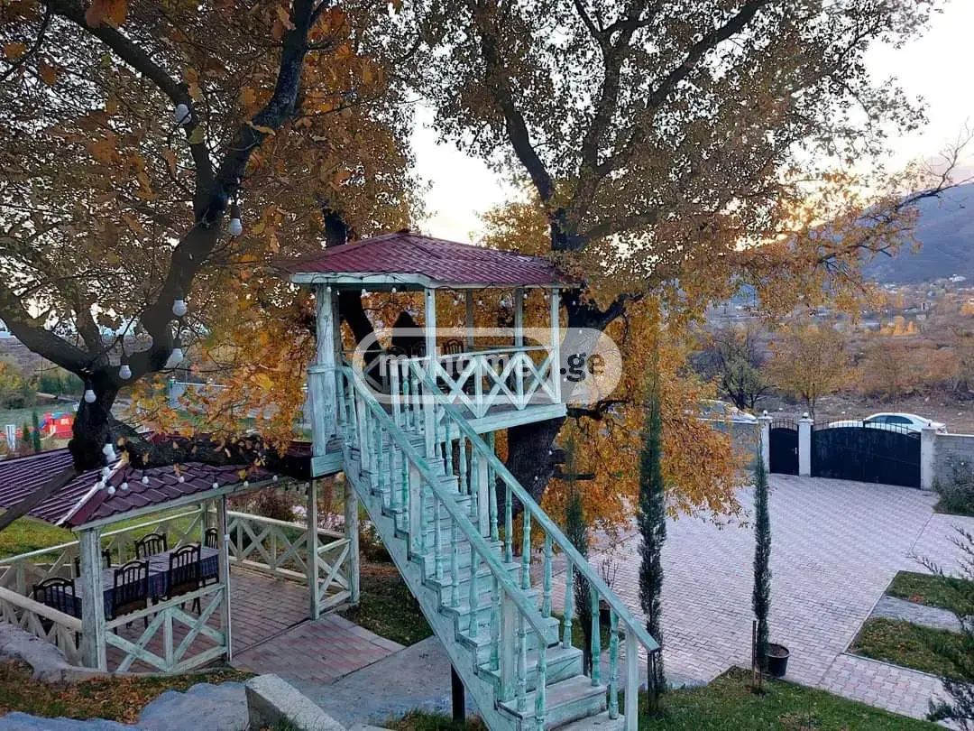 For Sale 10+ Room Sastumro Dushetis Munitsipalitetshi view 4