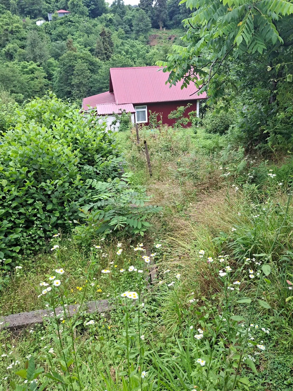 For Sale Sasoplo-Sameurneo Land Plot In Batumi view 10
