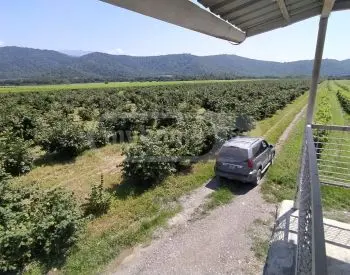 For Sale Sasoplo-Sameurneo Land Plot Isanshi, 12 of 12