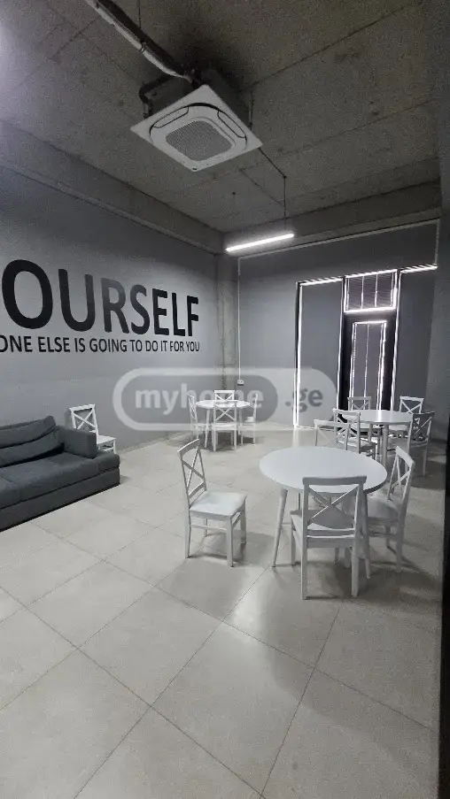 For Rent Universaluri Commercial Space Dighmis Masivshi view 11