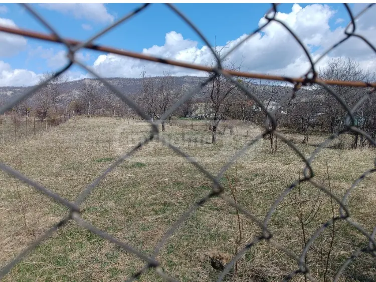 For Sale Sasoplo-Sameurneo Land Plot Sagarejos Munitsipalitetshi view 5