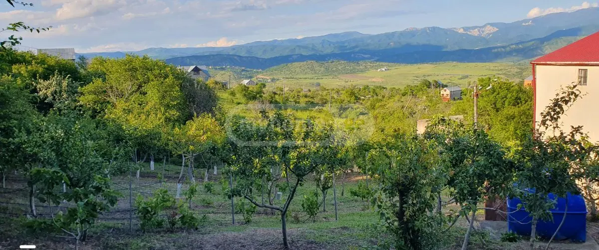 Продажа 7-комната Загородный дом в Sagarejoshi view 7