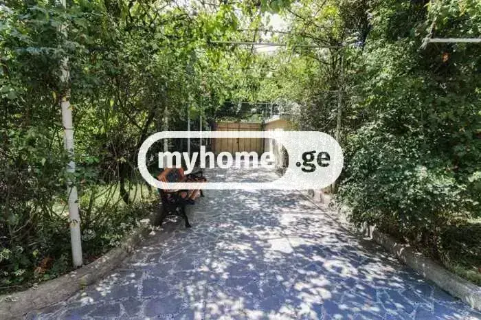 For Rent 6 Room Sastumro Lotkinze, 10 of 11