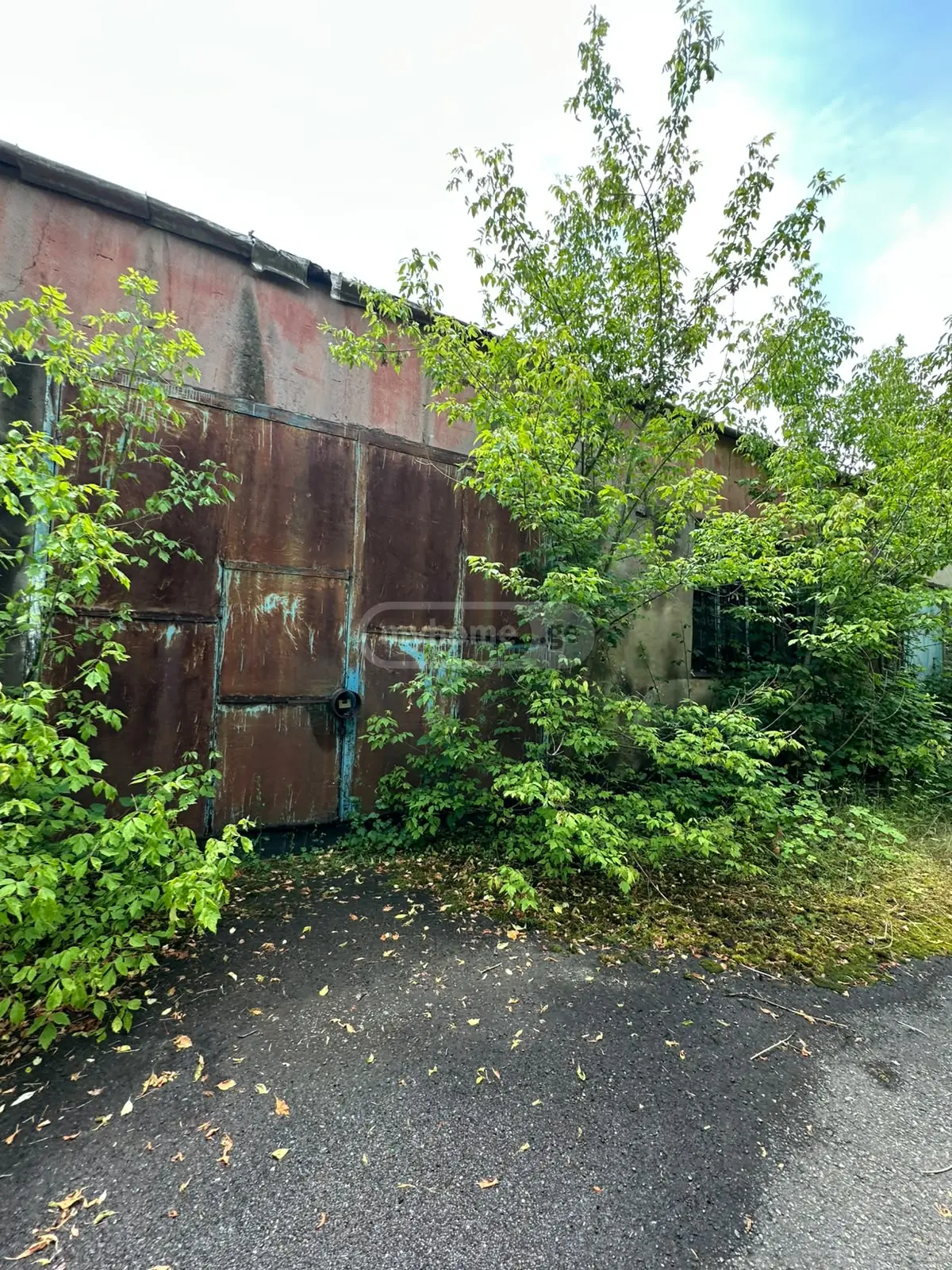 For Sale Spetsialuri Commercial Space Khashurshi view 8