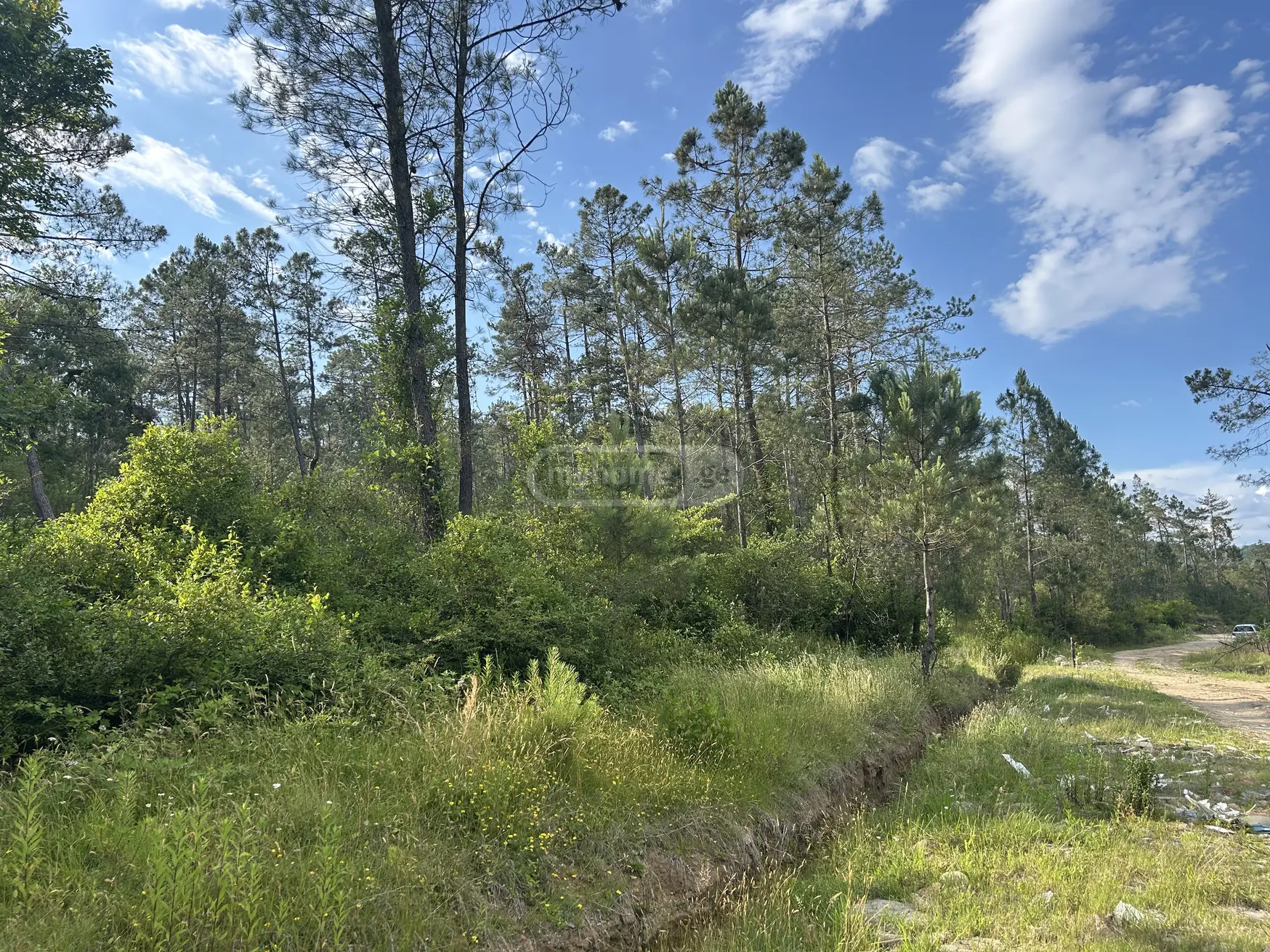 For Sale Ara Sasoplo-Sameurneo Land Plot Kutaisshi, 4 of 6