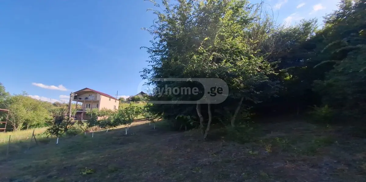 Продажа 7-комната Загородный дом в Sagarejoshi view 5