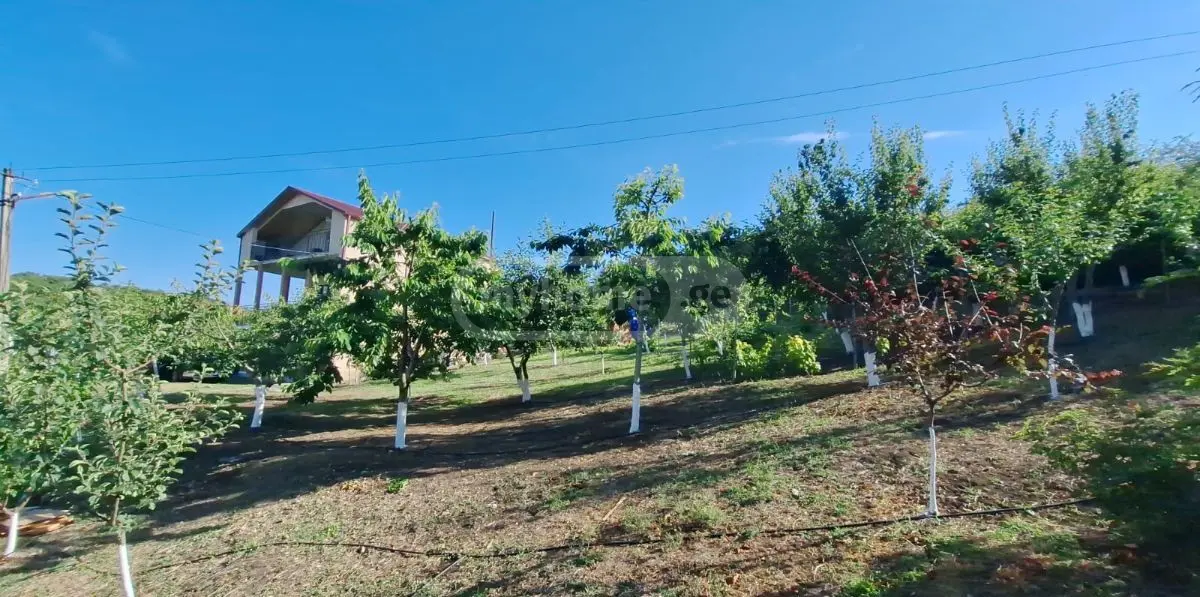 Продажа 7-комната Загородный дом в Sagarejoshi view 4
