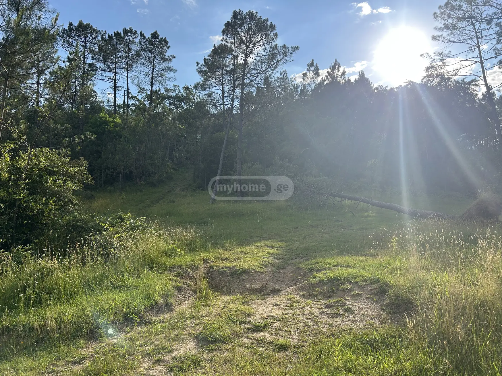 For Sale Ara Sasoplo-Sameurneo Land Plot Kutaisshi, 5 of 6