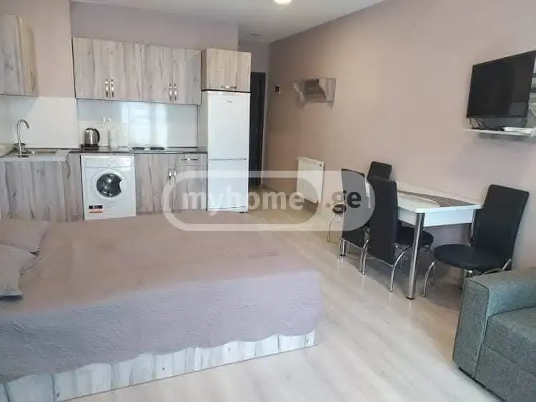 For Sale 1 Room Sastumro Bakurianshi, 10 of 12