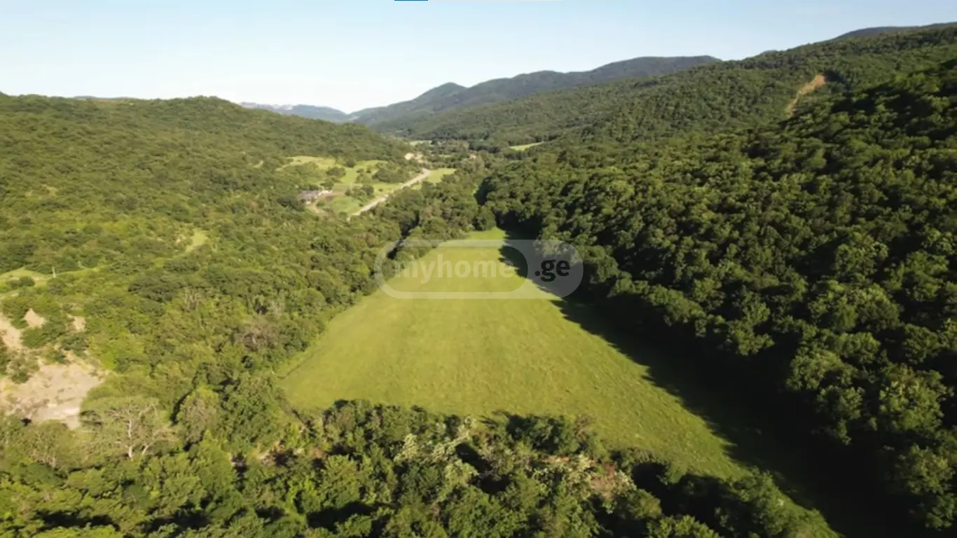For Sale Sasoplo-Sameurneo Land Plot Tetritsqaros Raionshi view 1