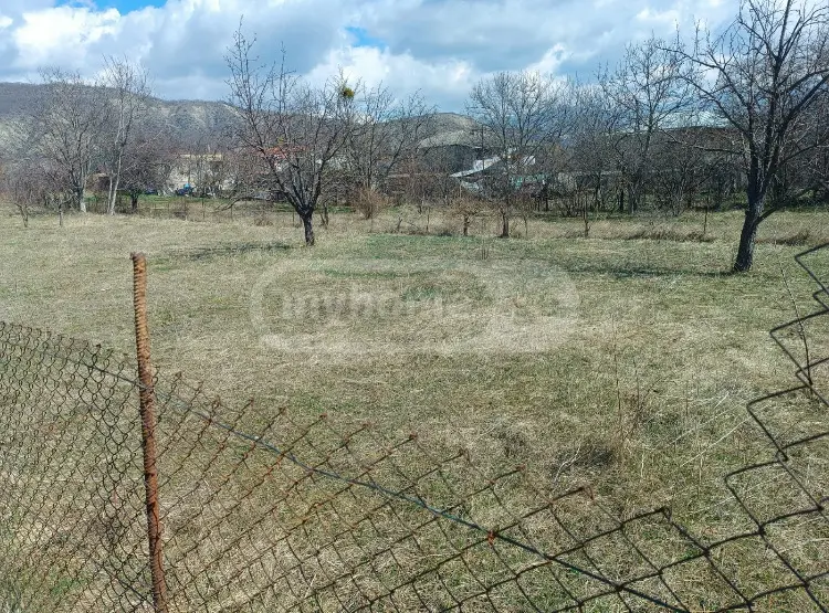 For Sale Sasoplo-Sameurneo Land Plot Sagarejos Munitsipalitetshi view 4