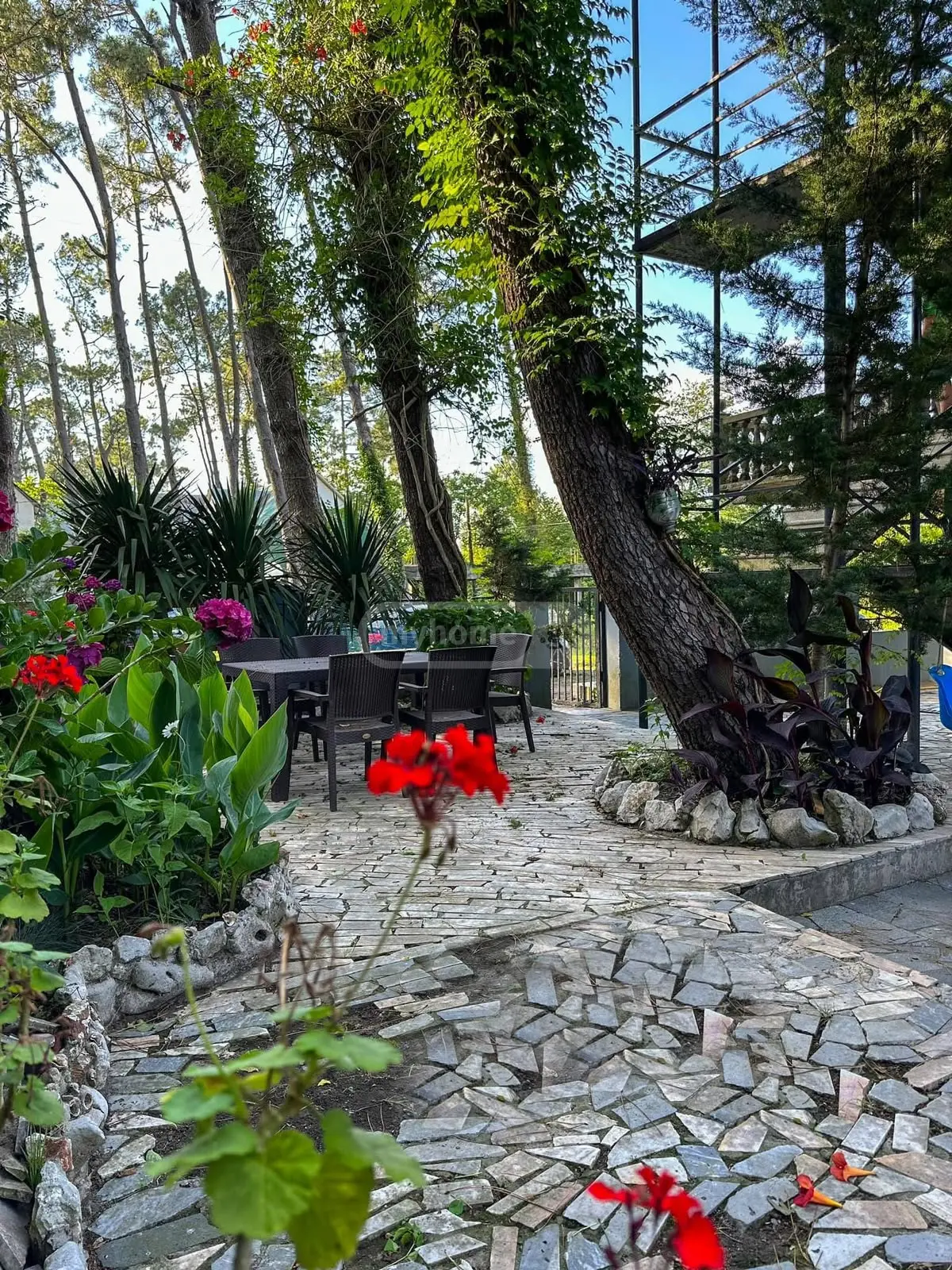 For Sale 10+ Room Sastumro Lanchkhutis Munitsipalitetshi view 10
