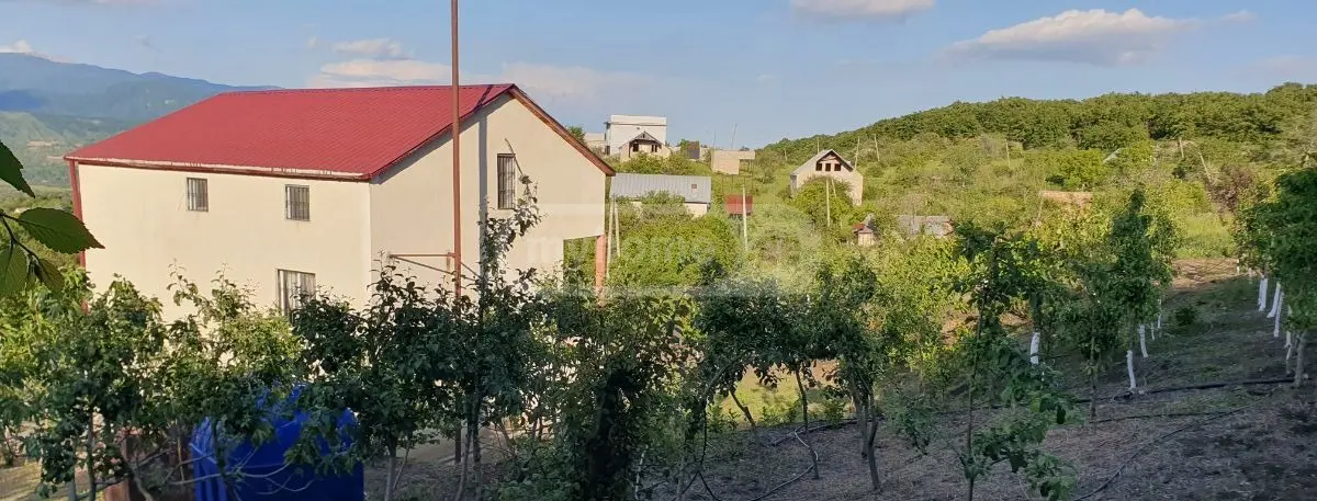 Продажа 7-комната Загородный дом в Sagarejos Munitsipalitetshi view 2