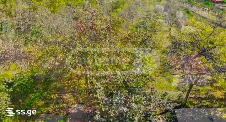 For Sale Sasoplo-Sameurneo Land Plot Ozurgetshii view 11