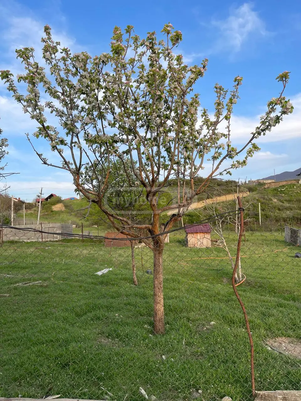 For Sale Sasoplo-Sameurneo Land Plot Mtskhetis Munitsipalitetshi view 1