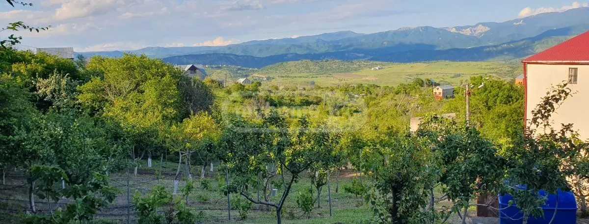 Продажа 7-комната Загородный дом в Sagarejos Munitsipalitetshi view 7